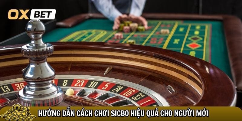 Sicbo Oxbet - Sân chơi cá cược siêu hấp dẫn của Oxbet Bật mí cách chơi sicbo Oxbet hiệu quả cho người mới