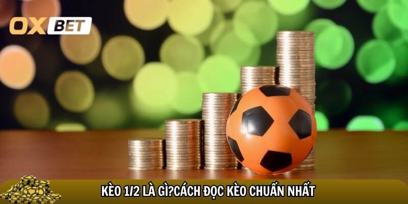 Cách đánh kèo 1/2 hiệu quả – Bí tuyết tăng tỷ lệ thắng lớn! Cách đọc kèo cược 1/2 chuẩn nhất