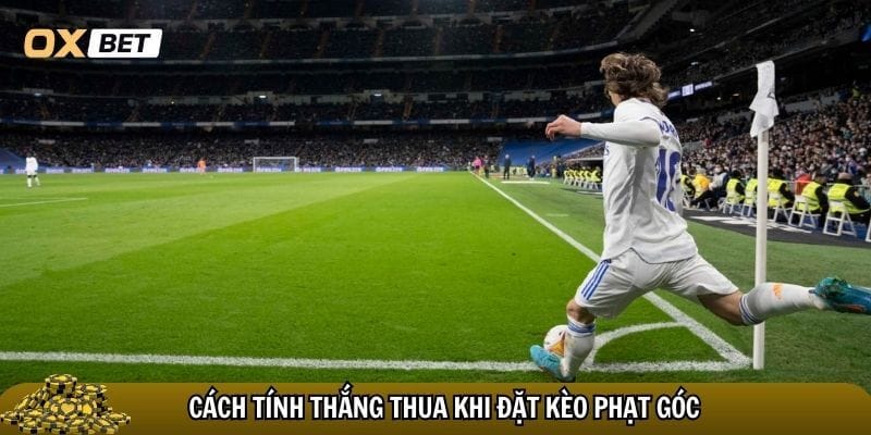 Kèo phạt góc là gì? Cách chơi & kinh nghiệm cá cược hiệu quả Quy định tính thắng thua trong kèo phạt góc