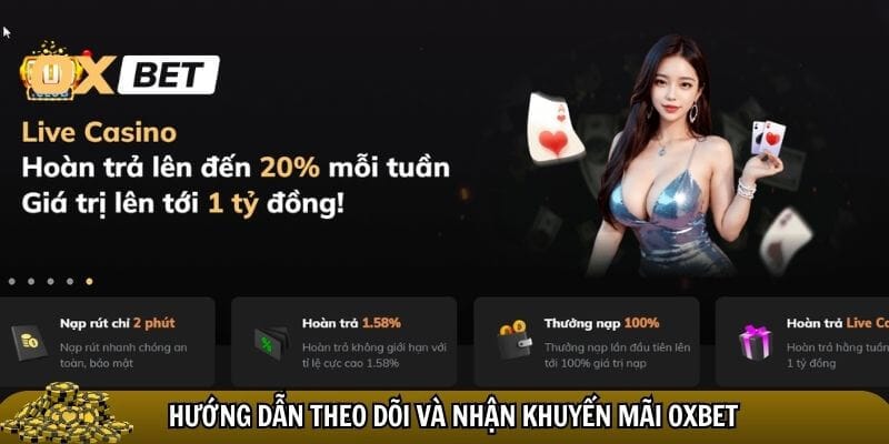 Khuyến mãi Oxbet - Cơ hội vàng cho người chơi nhận thưởng lớn Người chơi thường xuyên update khuyến mãi Oxbet