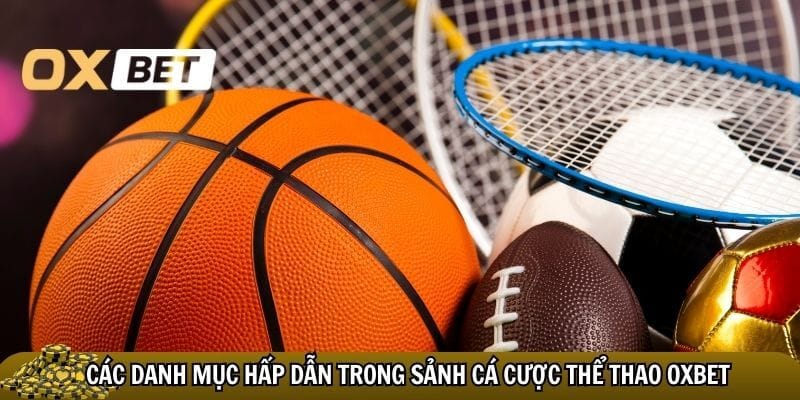 Thể thao Oxbet – Sân chơi cá cược uy tín, kèo cực hấp dẫn Các danh mục hấp dẫn trong sảnh thể thao Oxbet