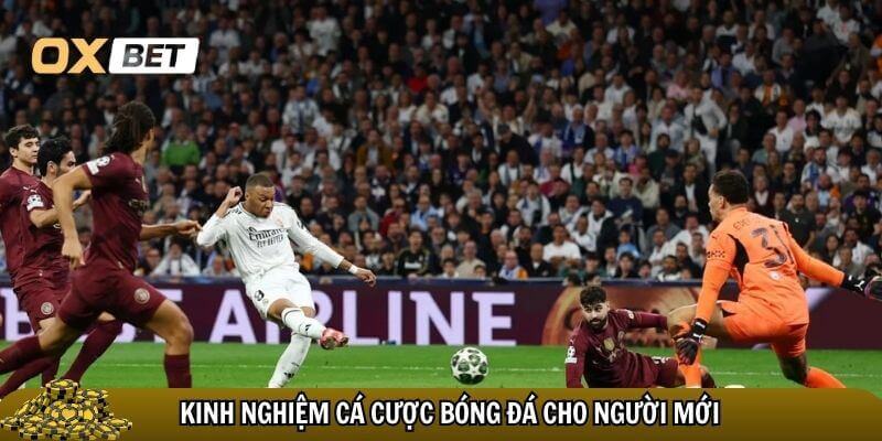 Kinh nghiệm cá cược bóng đá cho người mới – Bí quyết thắng lớn! Kinh nghiệm cá cược bóng đá cho người mới