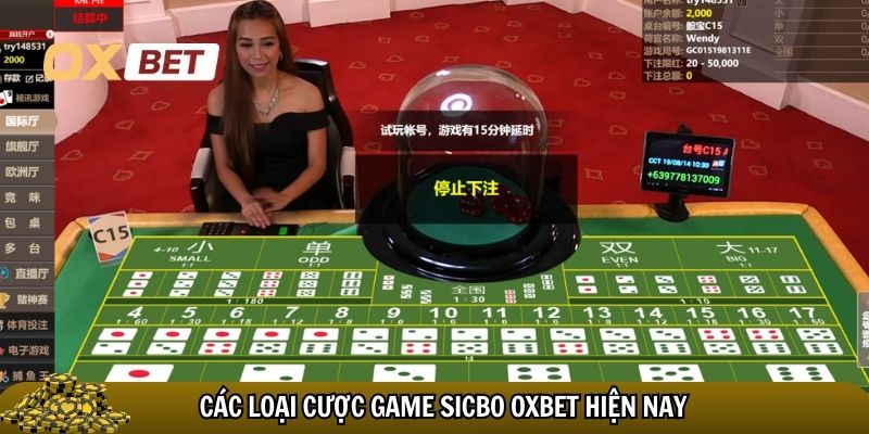 Các loại cược game sicbo Oxbet hiện nay