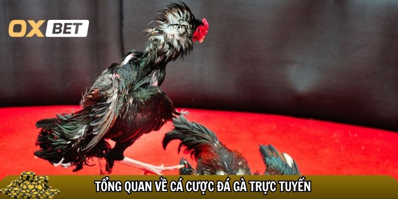 Tổng quan về cá cược đá gà trực tuyến