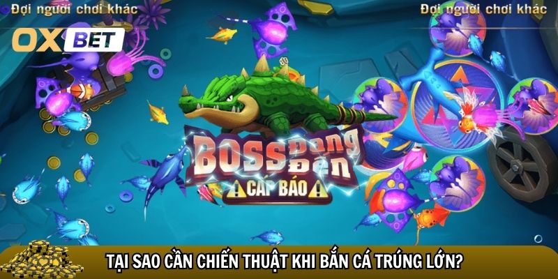 Tại sao cần chiến thuật khi bắn cá trúng lớn?