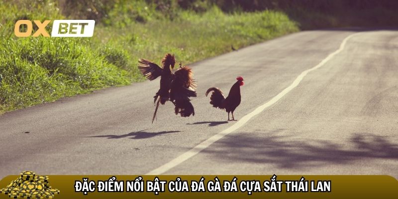 Đá gà cựa sắt Thái Lan: nghệ thuật thượng đỉnh của những trận đấu kịch tính Đặc điểm nổi bật của đá gà đá cựa sắt Thái Lan