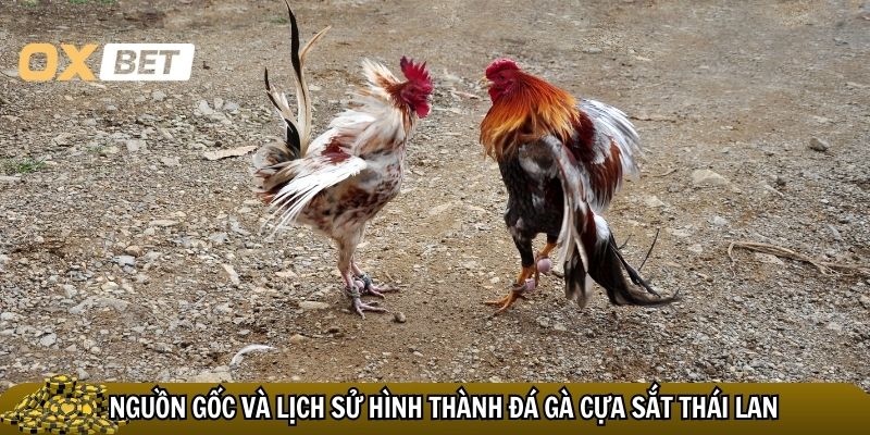 Đá gà cựa sắt Thái Lan: nghệ thuật thượng đỉnh của những trận đấu kịch tính Nguồn gốc và lịch sử hình thành đá gà cựa sắt Thái Lan