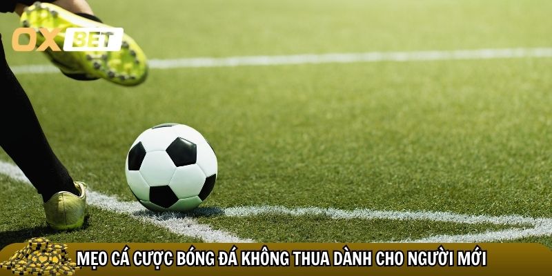 Mẹo cá cược bóng đá không thua dành cho người mới