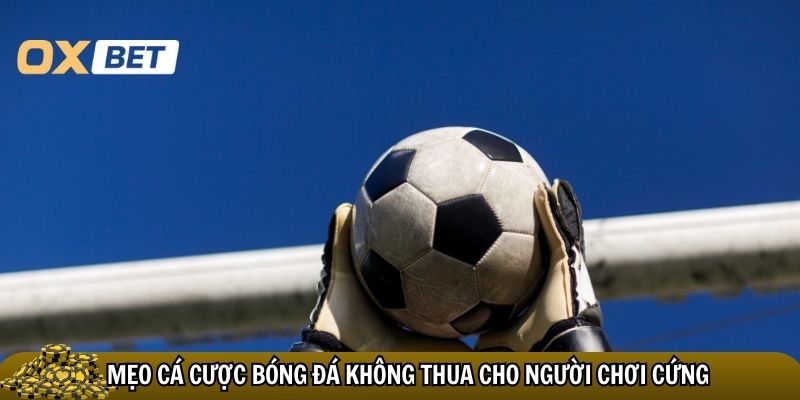 Mẹo cá cược bóng đá không thua cho người chơi cứng