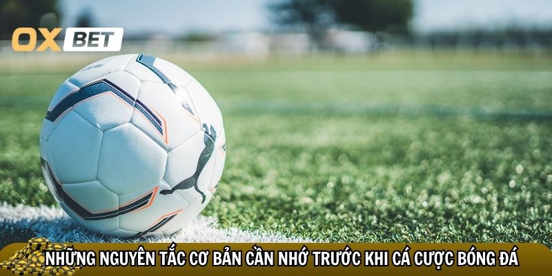 Những nguyên tắc cơ bản cần nhớ trước khi cá cược bóng đá